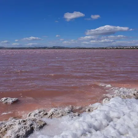 Appartement El Corazon De Torrevieja